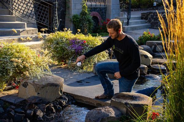 Renew Landscape Management: Coeur d'Alene Landscaping