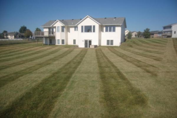 Oasis Lawn Care