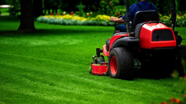 Essential Scapes Landscaping LLC