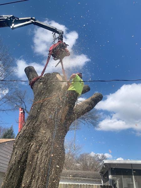 J Rechner Tree LLC