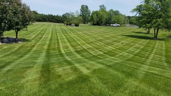 Veteran Lawn Service LLC