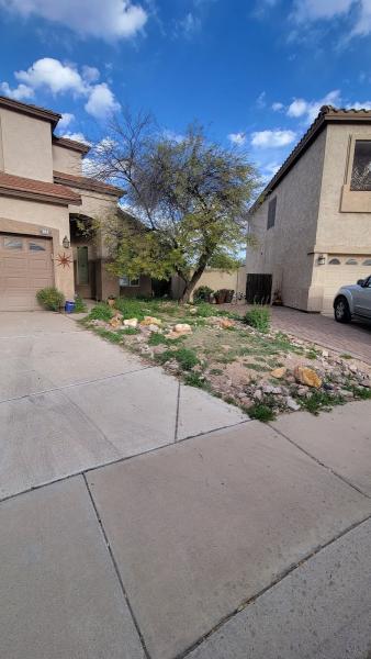 Sahara Tree Services AND Landscaping LLC