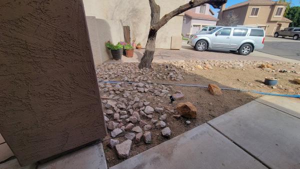 Sahara Tree Services AND Landscaping LLC