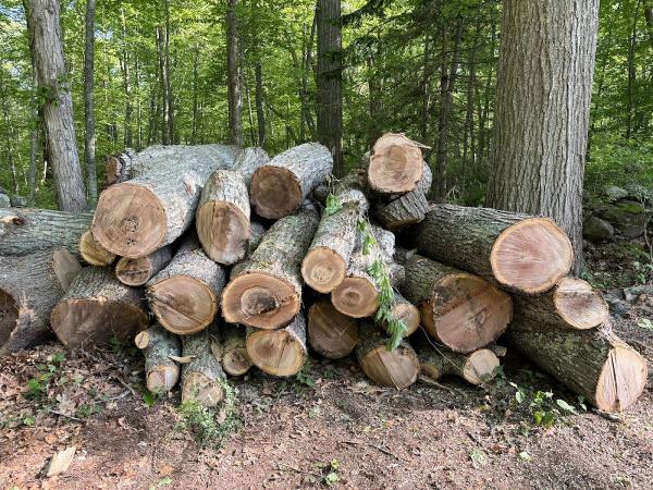 Christie Landscaping LLC