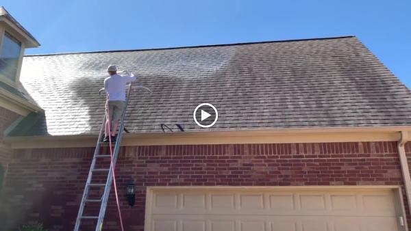 Pro Exteriors Pressure Washing and Services LLC