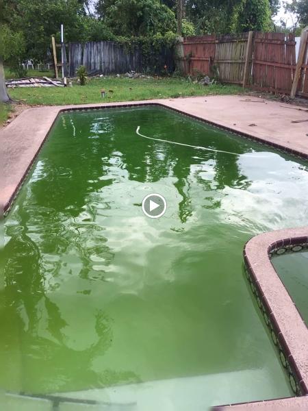 Davis Pool Service
