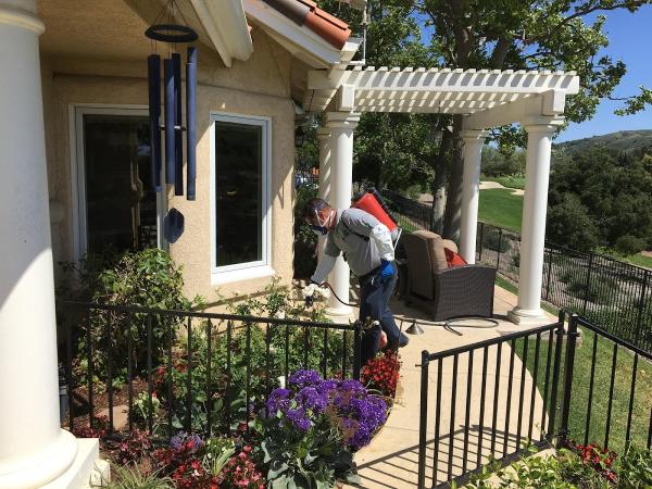 Insight Pest Management