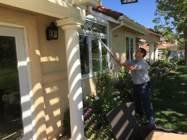 Insight Pest Management