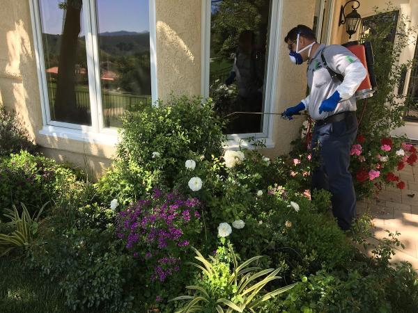 Insight Pest Management