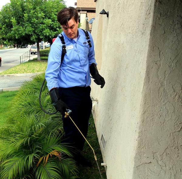 Prolific Pest Services