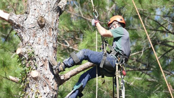 Climbing High