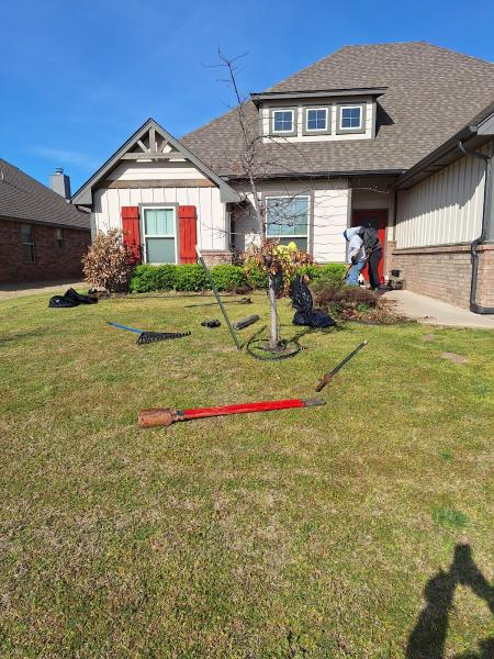 Tailored Lawns & Tree Services