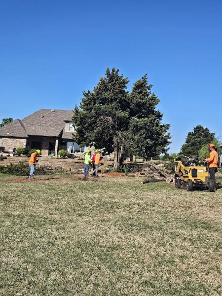 Tailored Lawns & Tree Services