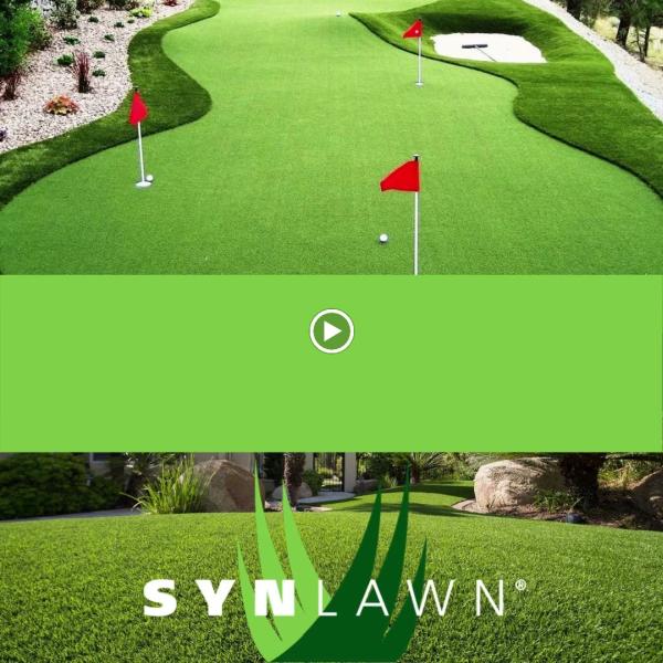 Synlawn Sacramento