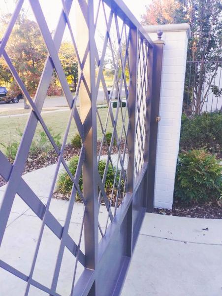 Pro Trace Painting