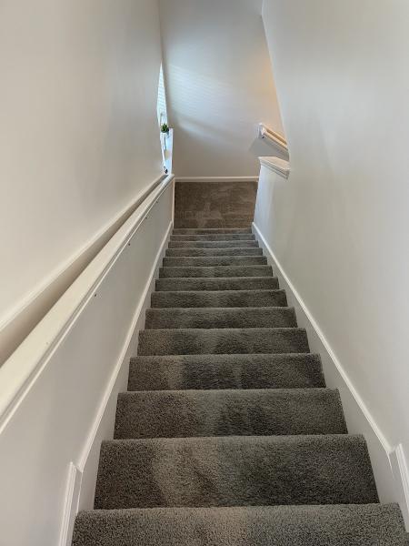 Mr. Steam Lux Carpet Cleaning