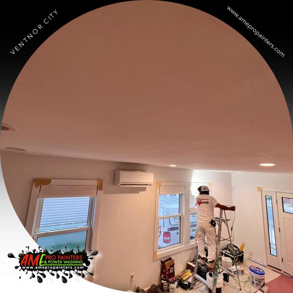 AME Pro Painters & Power Wash Llc.