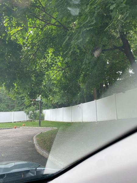Green Pest Management LLC