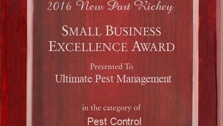 Ultimate Pest Management Your Pasco County Exterminator