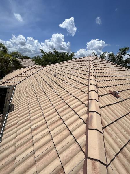 Wash Wav Soft Wash Roof Cleaning & Pressure Cleaning