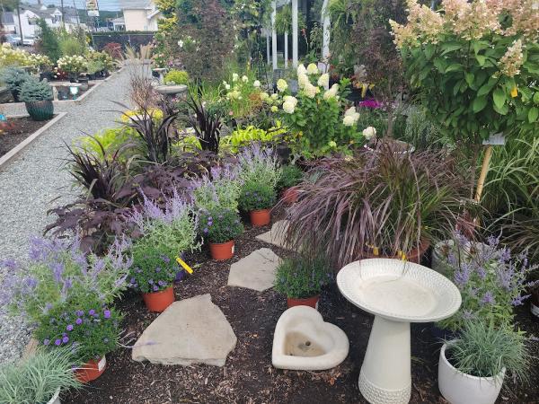 Central Nurseries Inc