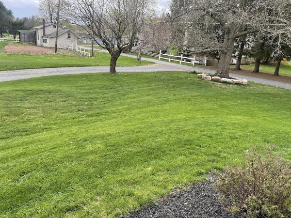 Lehigh Valley Lawn