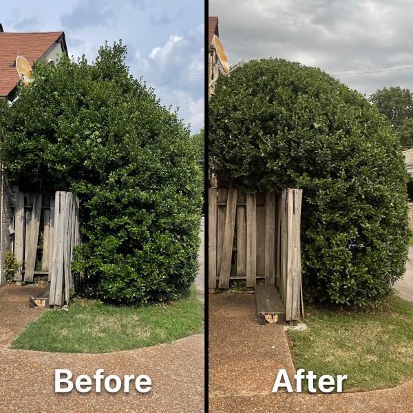 Briest Landscaping