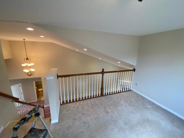 3B Pro Painting