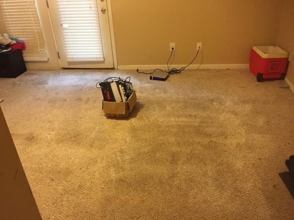 Carpet Cleaning: Master Services