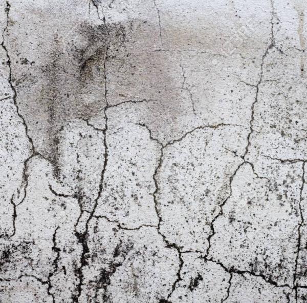 Jackson & Company Foundation Repair