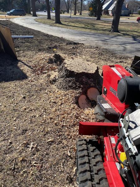 Stumpmaster Stump Grinding