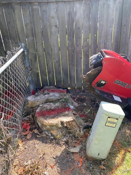 Stumpmaster Stump Grinding