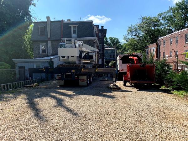 Prestige Tree Service
