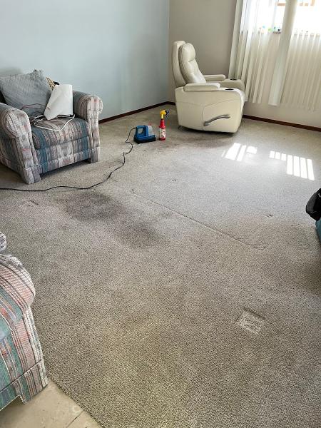 Sparkle Bright Carpet Cleaning