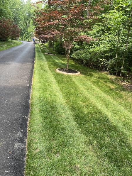 Greenwish