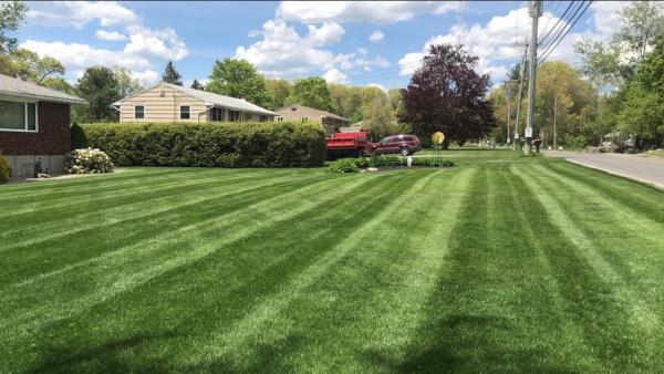 All Year Lawn LLC