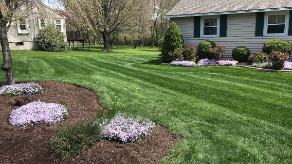 All Year Lawn LLC