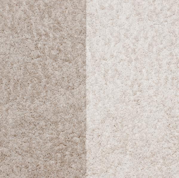 The One Minute Dry Time Green Carpet Cleaning