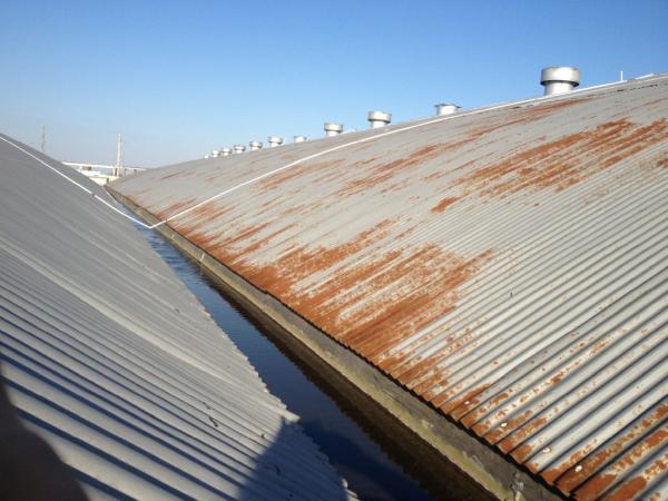 Greenstar Roof Coatings