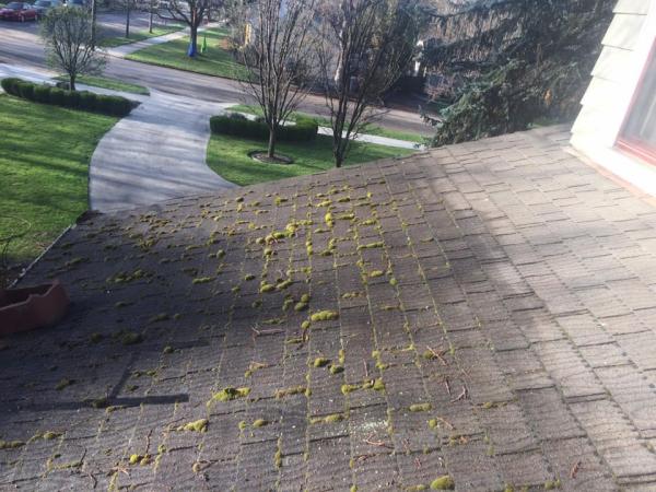Handsome Roofing