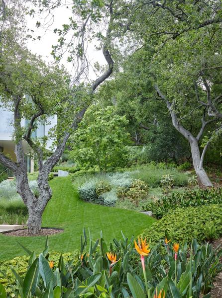 Stephen Billings Landscape Architecture