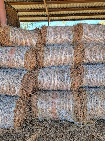 South GA Turf Care