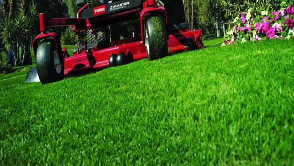 Clean Cutz Lawn Service and Pressure Washing