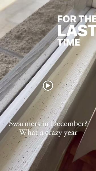 Beau the Termite Guy
