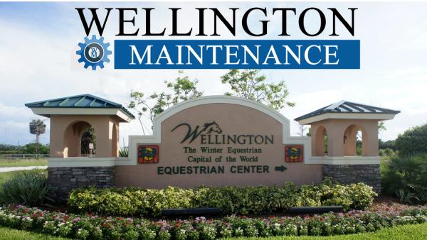 Wellington Maintenance