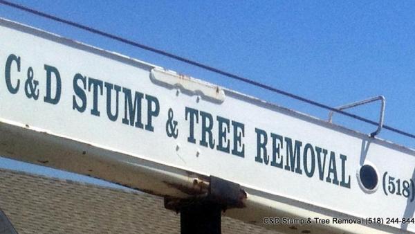 C&D Stump & Tree Removal