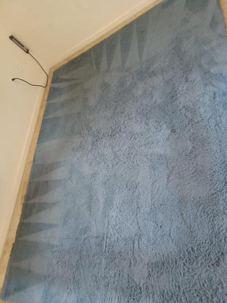 Edgar's Carpet Cleaning Experts