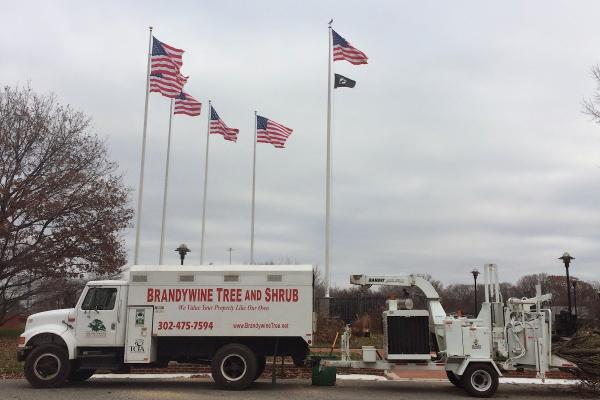 Brandywine Tree & Shrub