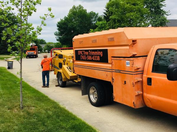 Epic Tree Trimming & Removal