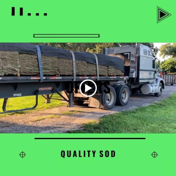 General Sod and Landscaping